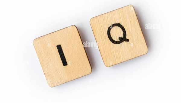 Как узнать свой iq